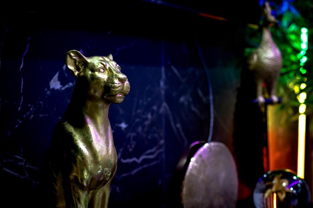 Love Room “La Nuit De Reve” Centre Historique 佩皮尼昂 外观 照片